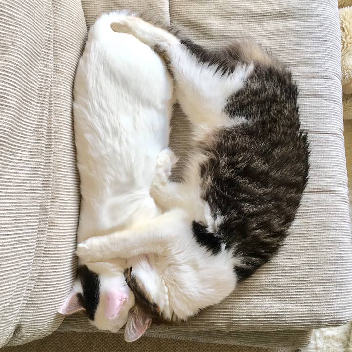 5718dc9d 8d31 474b 9fa9 44a206283f52