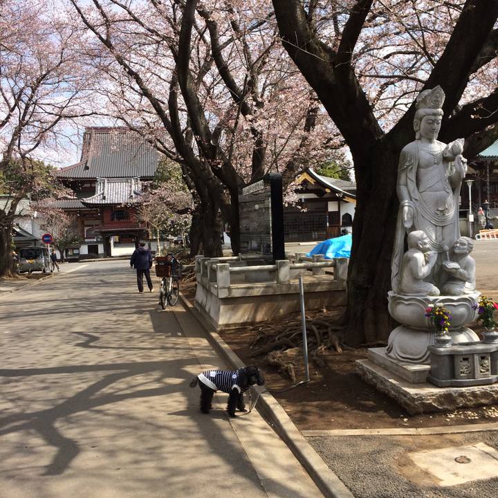 5718e760 fc79 420f 9ebf 335c7232ad9a