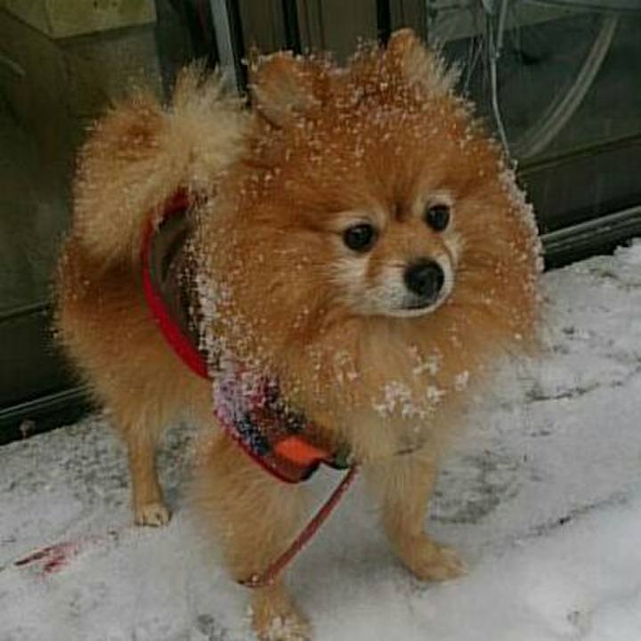 5718fe93 db99 40dd 8856 923b1115915c