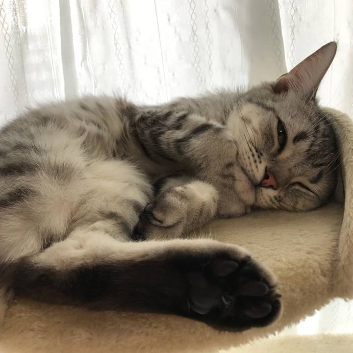 57190e48 fa64 406b abb5 9f92c518abdb