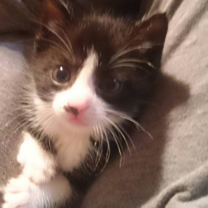 571975f4 167a 4947 97c3 1aead7405305