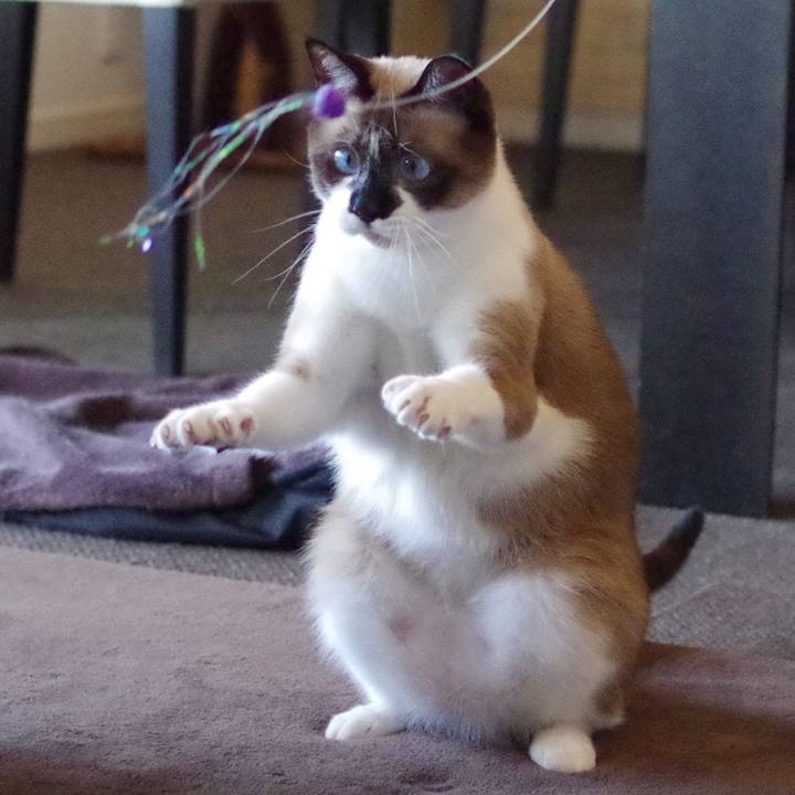 571988af 234f 4cbe a92f cbc8495a31eb