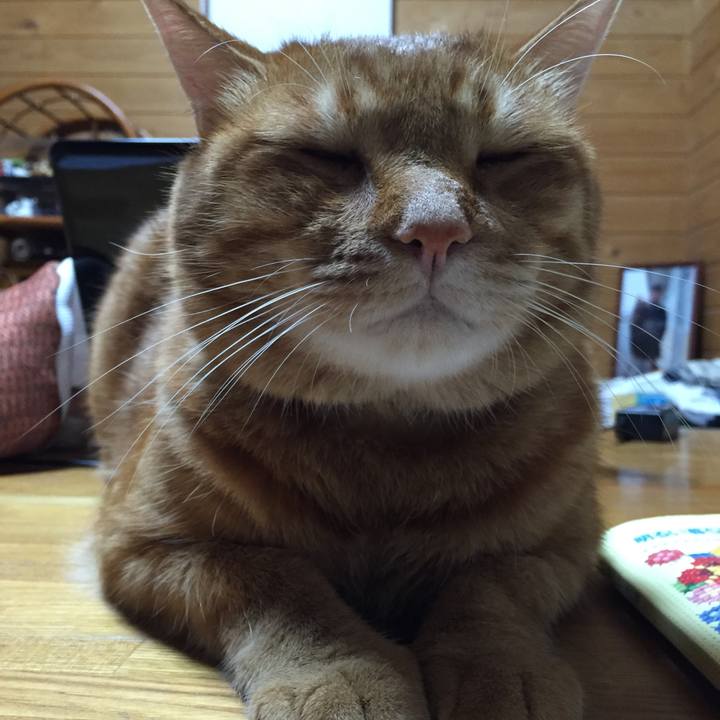 571a55cd 3789 4749 8e77 c73c1d946e64