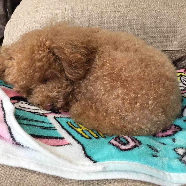 571a572f c8c1 473e a6cd 4321878bf365