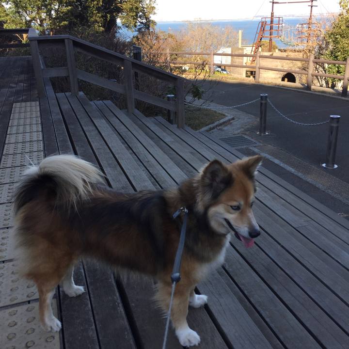 571ab4d4 12cd 432d a534 be0f62a32336