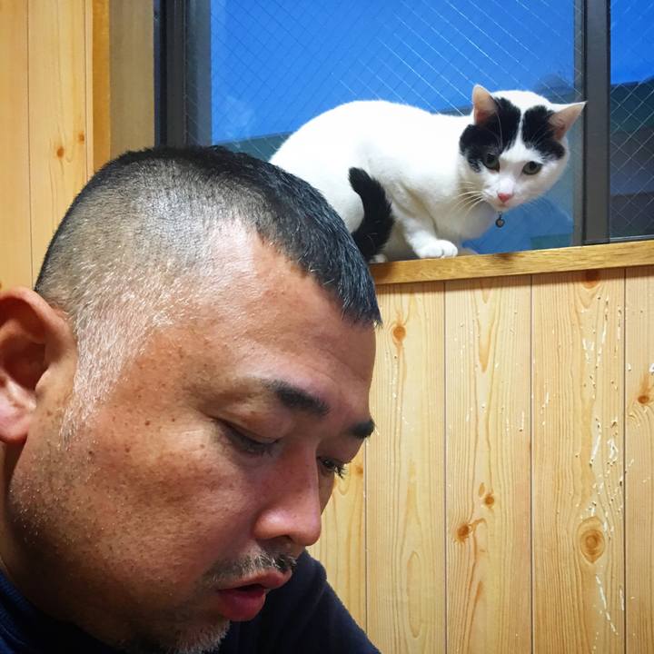 571afd55 d4b8 47d3 8927 7404e7f5e77c