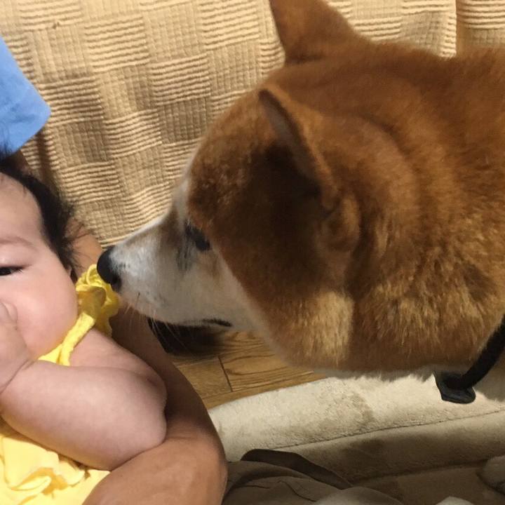 571b6de6 199f 4be6 b019 421fef7f139b