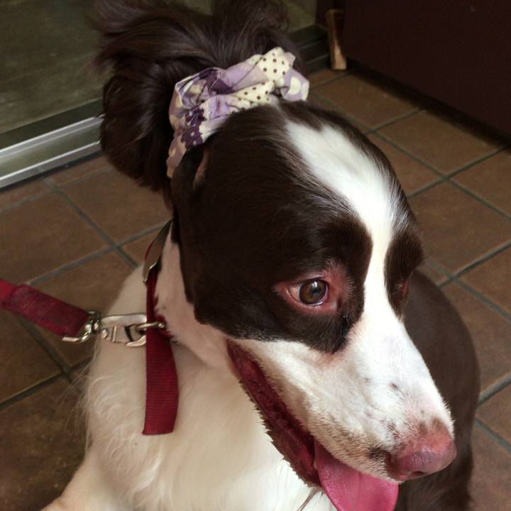 571d094b c11e 4d81 b444 bb3c6d8d4fda