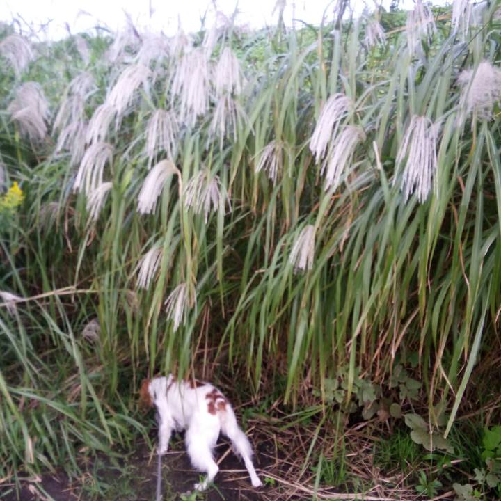 571ec7cd 87d3 4c8a a600 b78311c4508d