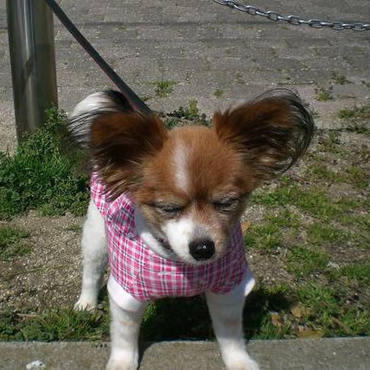 571ef2c2 9b53 4f94 a6c9 167cae8592d8