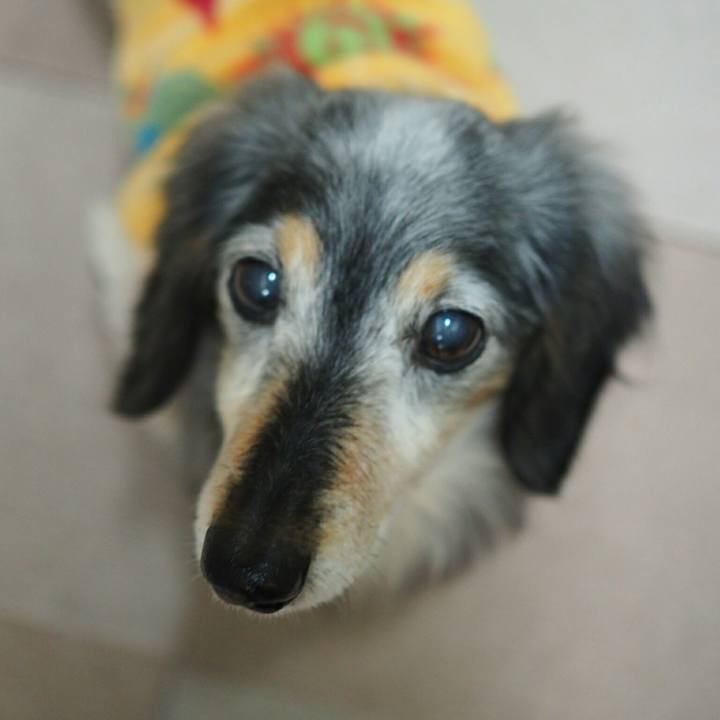 571f216a 3445 4ff0 bf61 5406111e9492