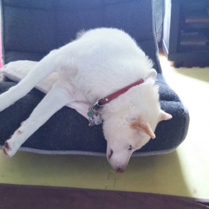 571f35f5 c35c 4df2 b716 389c46126286