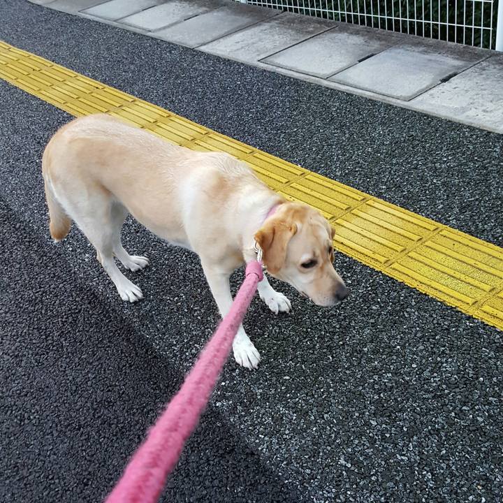 571fe326 c358 45d4 874f ca22e115d524