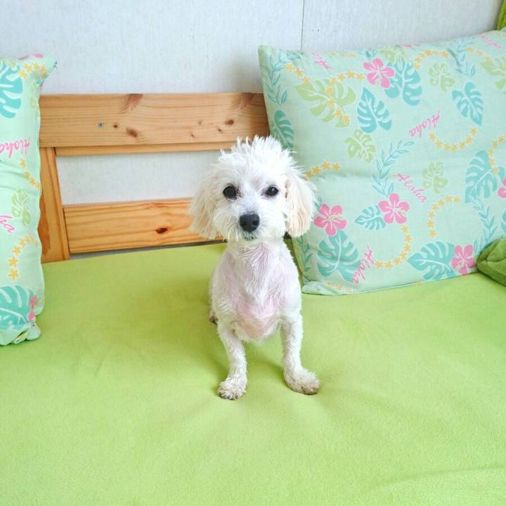 57202a75 5676 42c9 996b 7de2bada3e4d