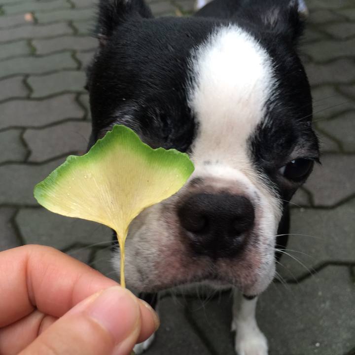 572079be a675 4e92 a562 e2f4f1ff52db