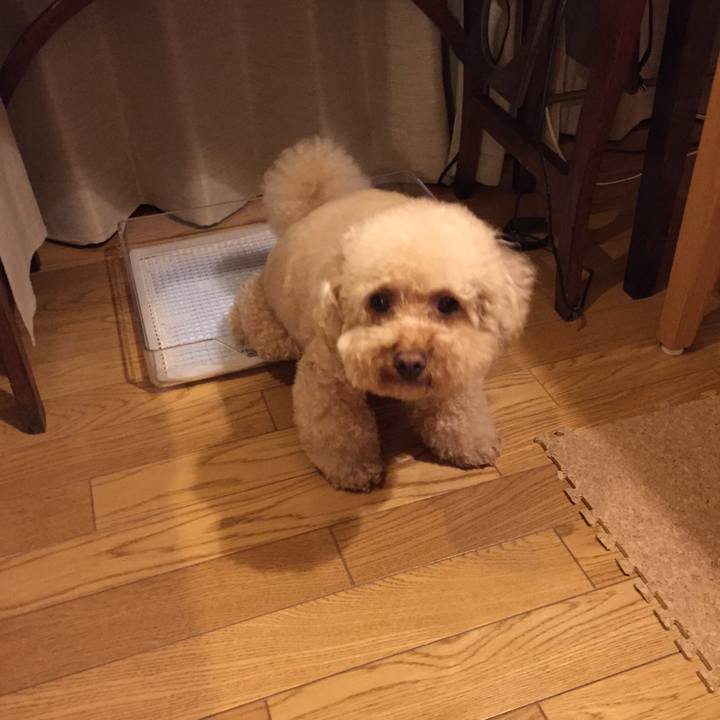 5720b978 ba74 4db6 b2e4 469f1859fcfd