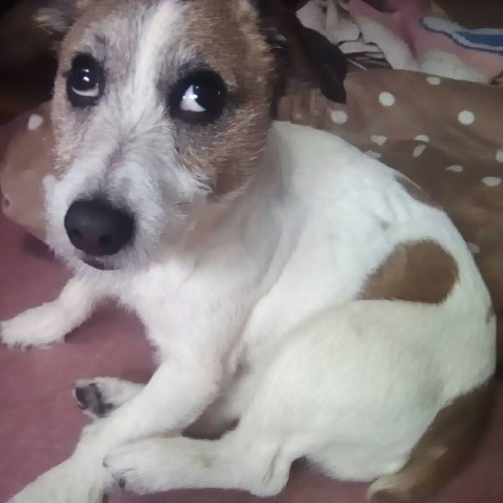 5720c0e4 7705 464c b138 6278a0859c5f