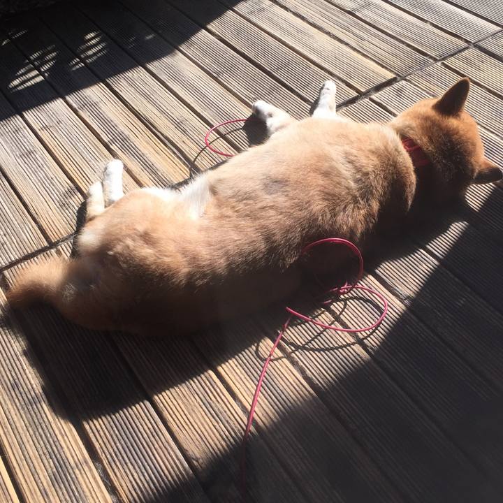 57217bf4 a430 43e6 a258 0f97d53e378a