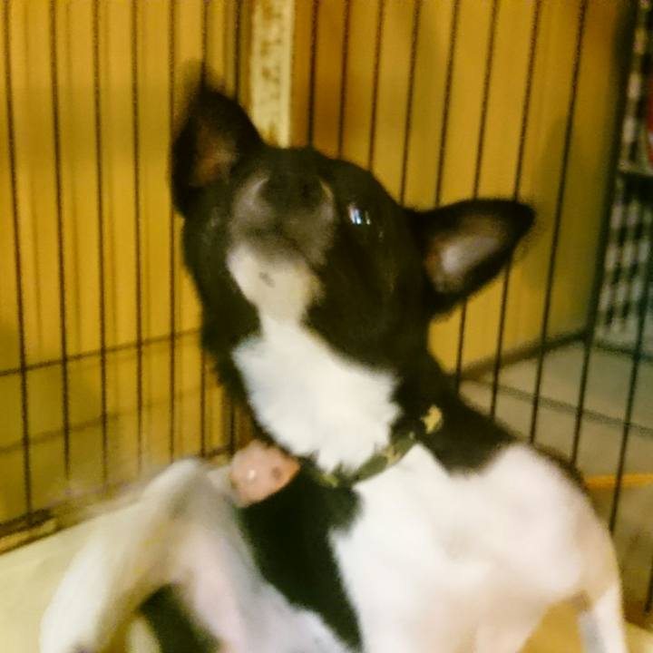 57219170 2be4 4b27 9a33 fa0e93d1ae3b