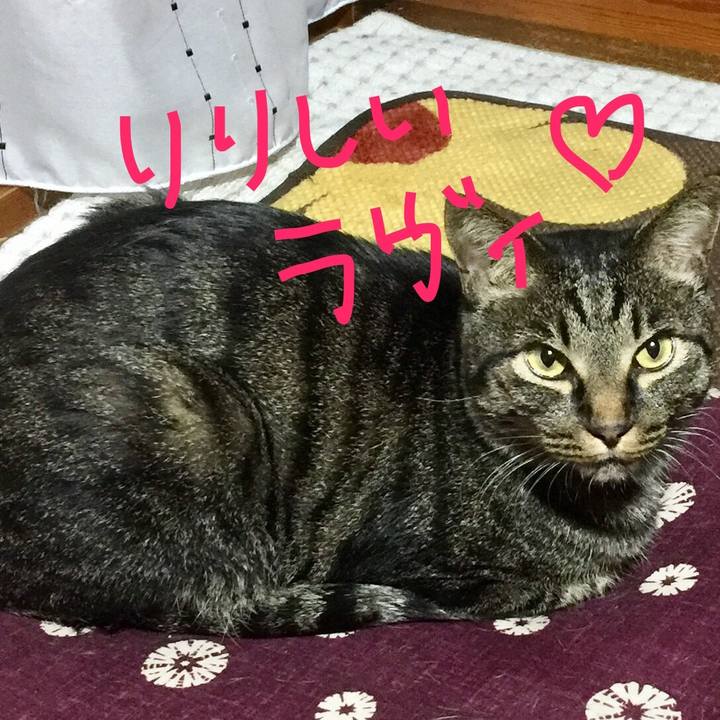 5721dadb f612 43e3 9055 615a80e5ff9b