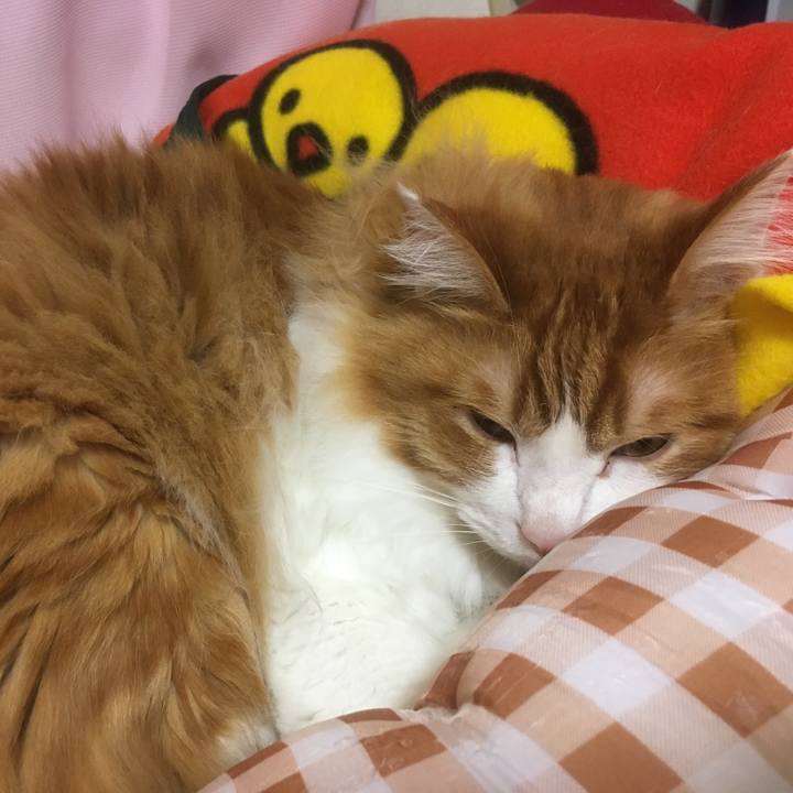 5722fd4b 7888 4280 80b8 9226831d958f