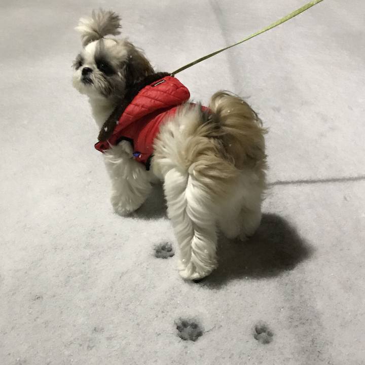 57232f95 7161 484b 8d30 ad01537fe1f6