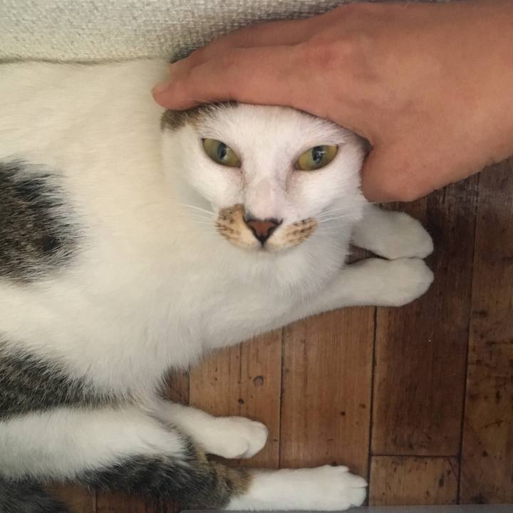 572376cb d95e 4fcb bb1c 4bfcf21f4341