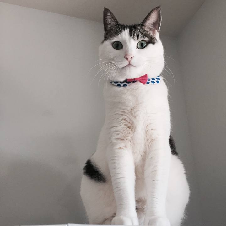 5723f50d f014 437a a96f 1cfc9b490596