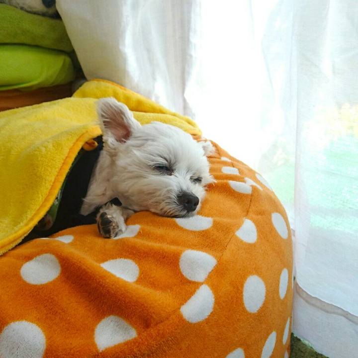 572410ef b86d 498c b473 9774a58b9ada