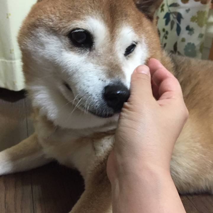 5724c0f6 edce 44ad ad36 a53afe430355