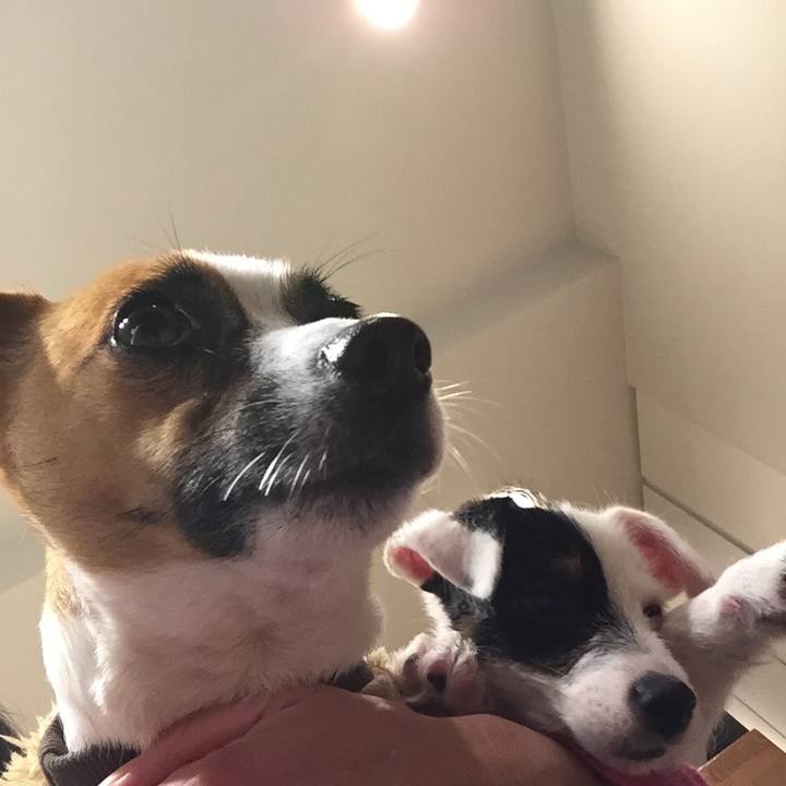 572521bf 8a29 48d8 a709 fbb23d88342a