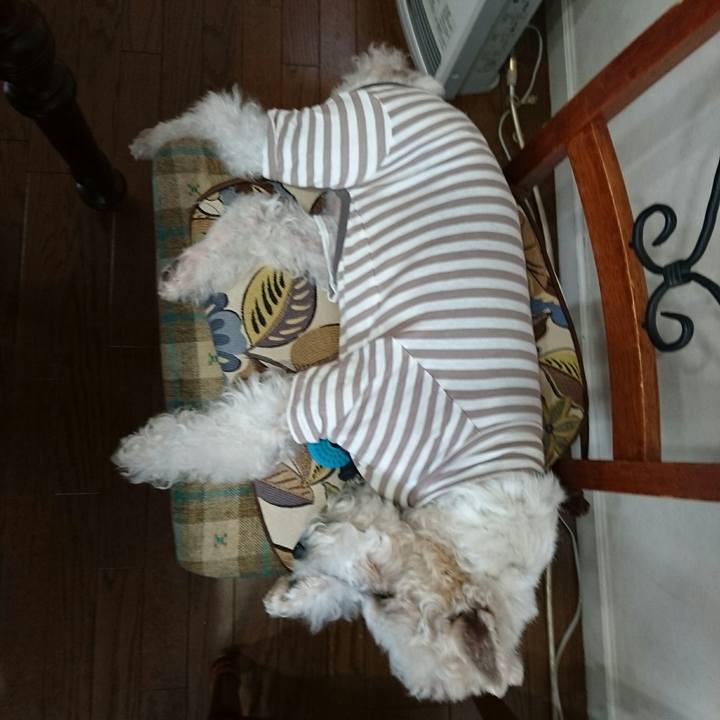 5725789a 9217 4889 989f 88263ba88958