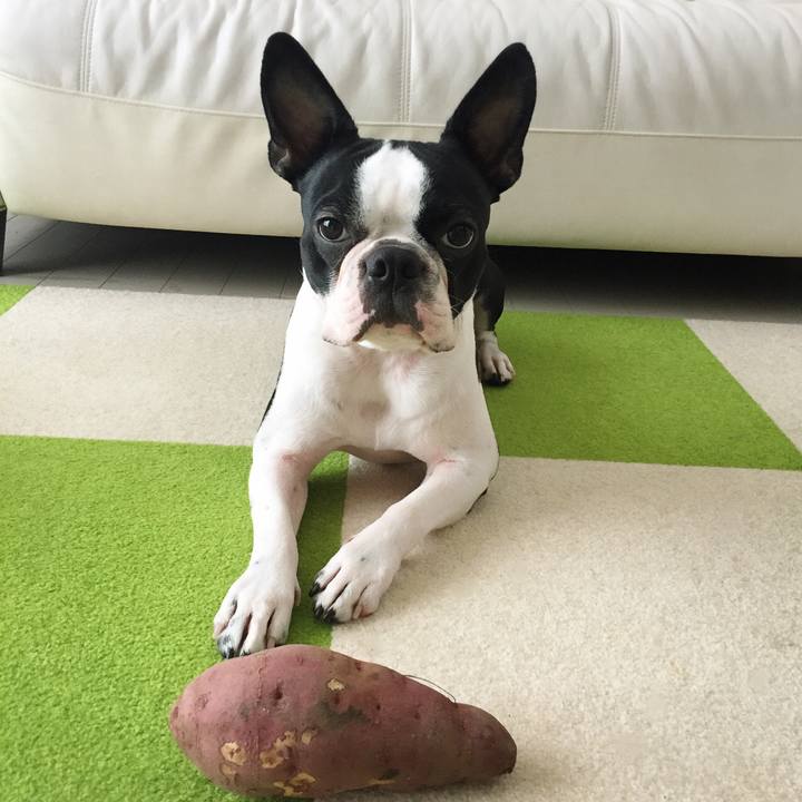 57263b61 6966 479d 89a5 caaa95714481