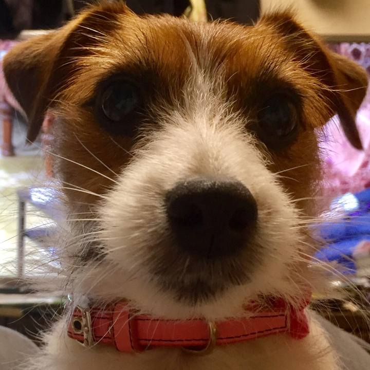 5726553c f6d5 46b0 9049 7e4520f282d0