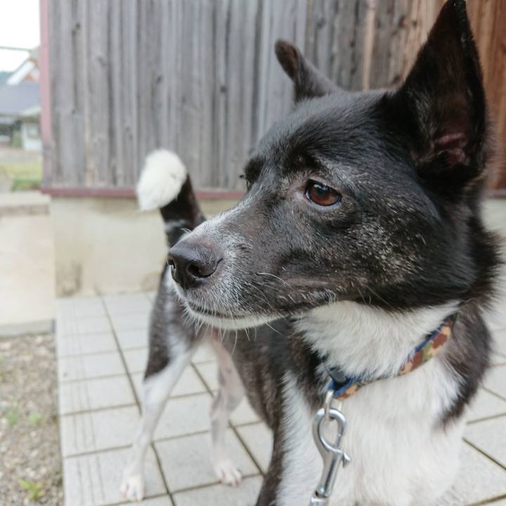 5726abfc 6ebd 4435 a674 49b45284a9a6