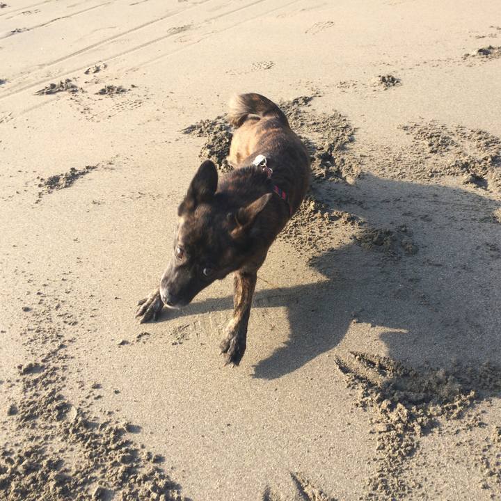 5726c003 3816 4fa5 bc85 64841698fedd