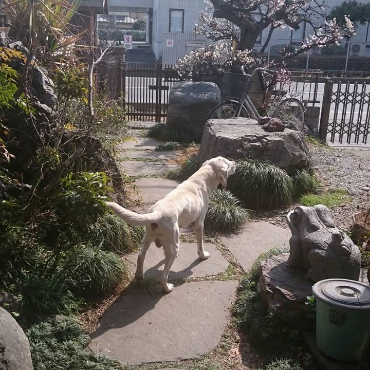 5726e18c a6be 436f bfcf 1f833e254fa5