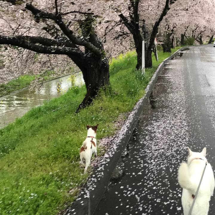 57277d44 8906 4c9f b44c aabb63eb7fb3