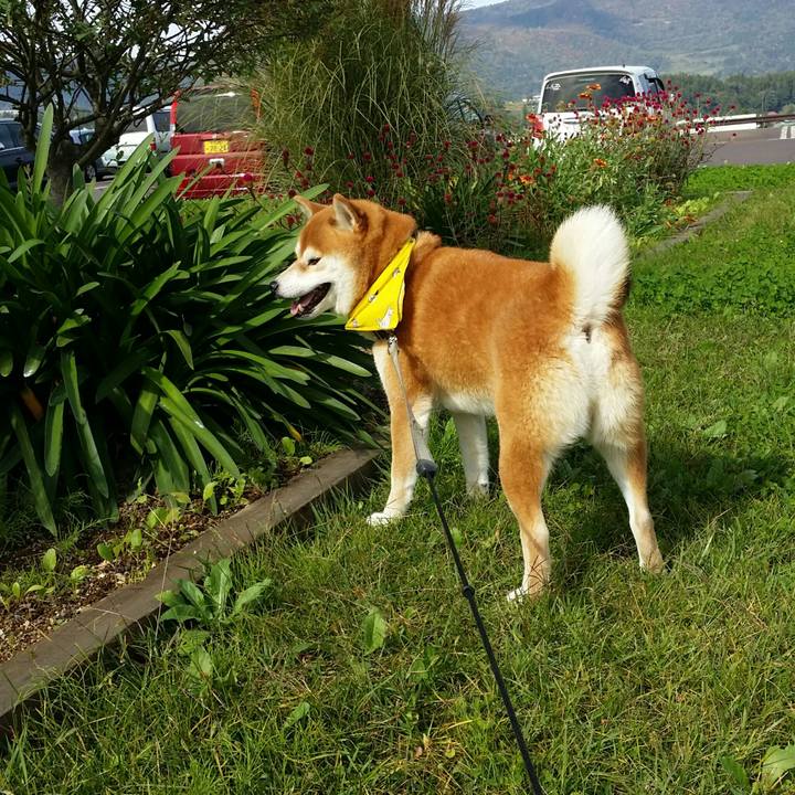 5727ae08 3182 4bf3 9cb7 8a4cd62807c4