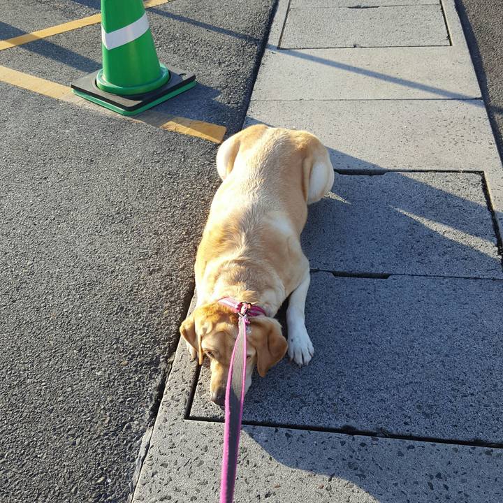 5727c32d d584 44a9 ae96 527b513d5fce