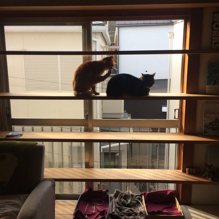 5729646d 8cdd 4806 8f23 d9ac58d2b9c4