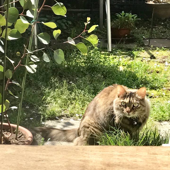 572977f9 7748 4793 97af 7f7284d244f8