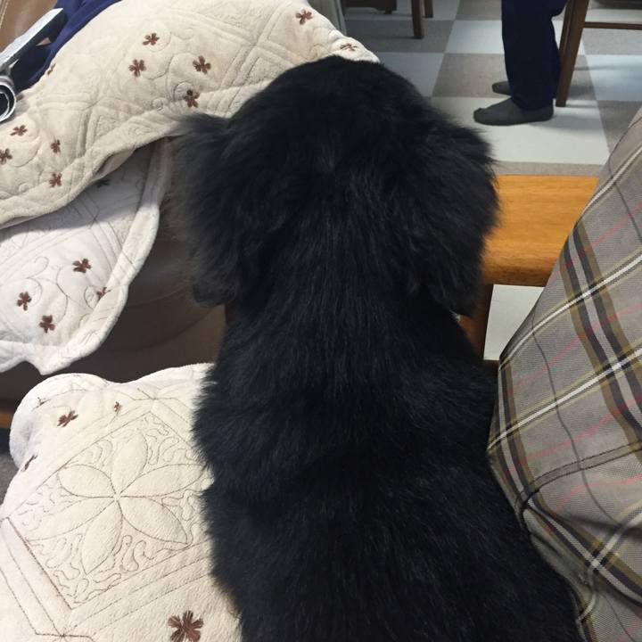 572981e1 a9ae 42cc 9806 5ef652084bb8