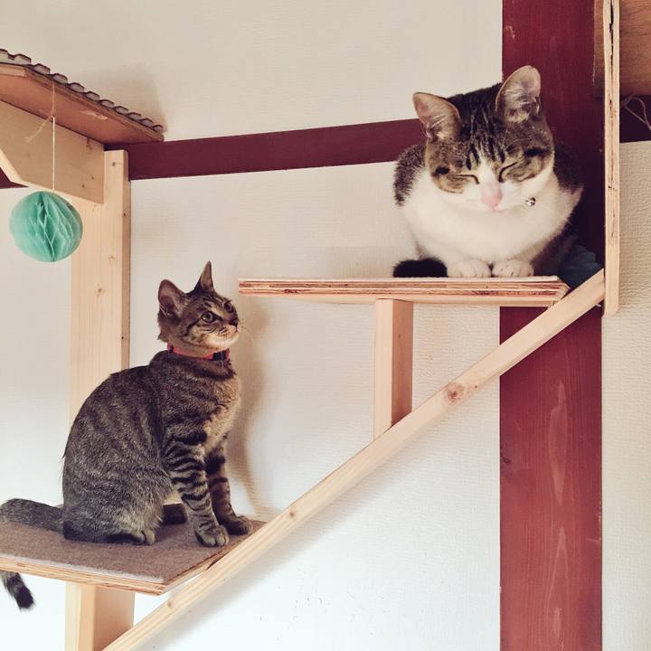 572a2f9d f244 4cb5 a0ee 5c86733cc264