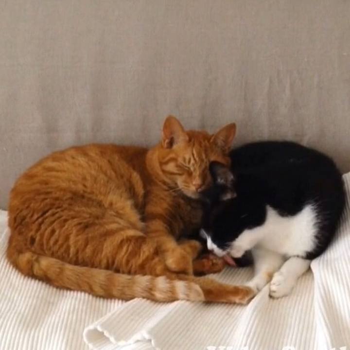 572b1d49 84d4 4571 a3a6 da89239d1f8d