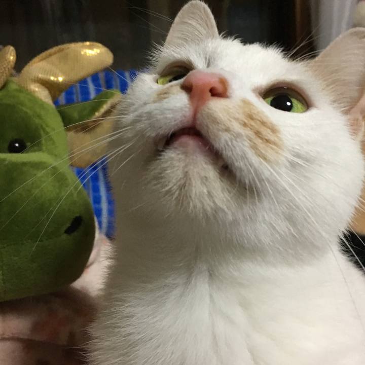 572b2076 c262 4437 a313 77644267bb07