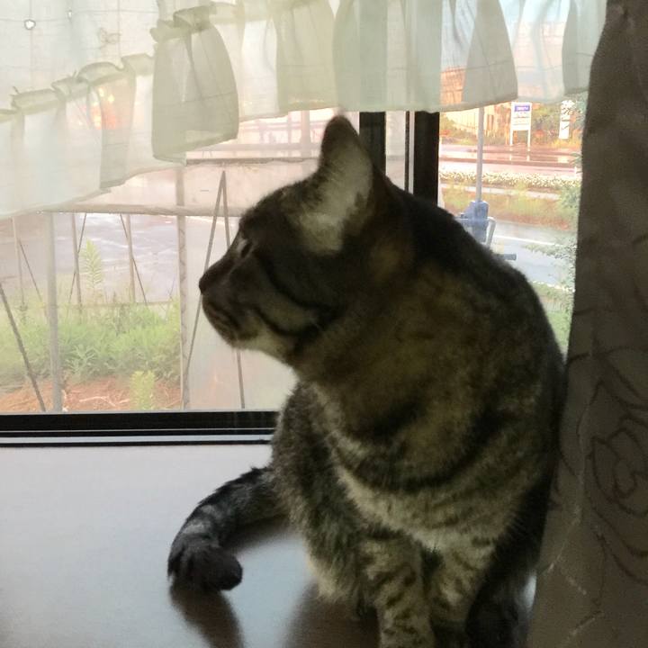 572b3319 5548 4118 b9b4 625f0d46e784