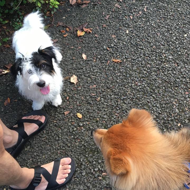 572c6238 ee2b 43d6 83a7 fa10a2a93e1c