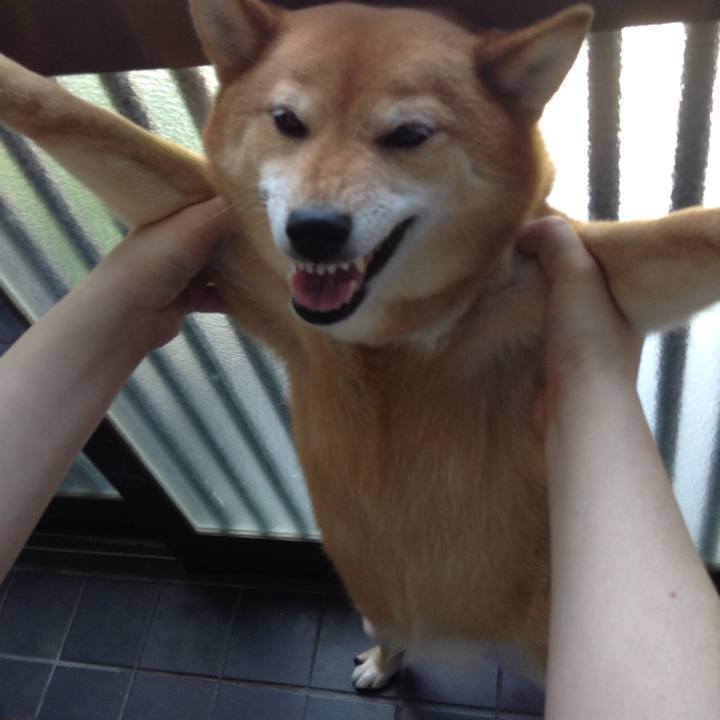 572c6e95 aa01 4491 be24 42160c4e6eb6