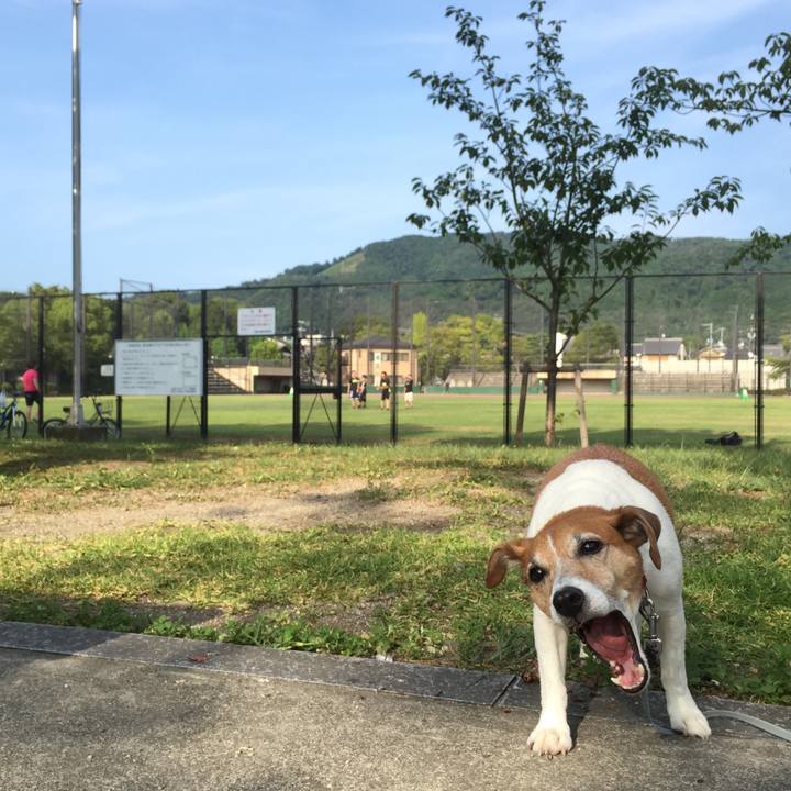 572c805d c83e 4a48 9f41 426bb56d7bd8